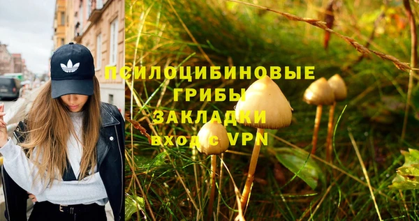 ешки Аркадак