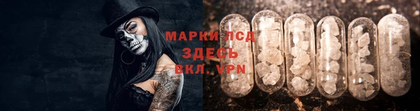 ешки Аркадак