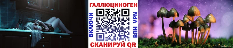 Галлюциногенные грибы Psilocybine cubensis  Муравленко 