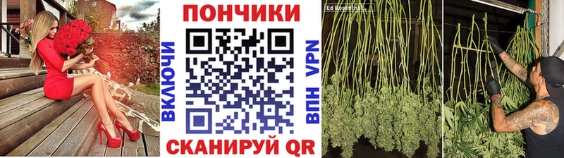 МАРИХУАНА THC 21%  mega вход  Муравленко  где найти наркотики 